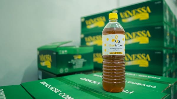 beenica-miel-abeja-nicaragua-agasa